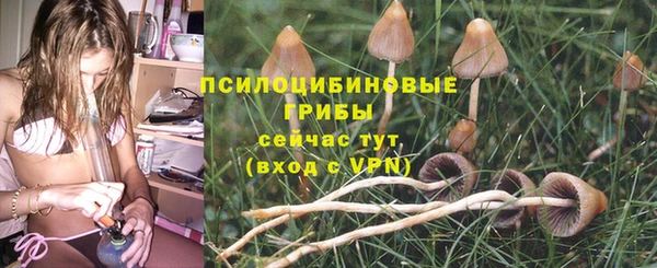 трава Каменка