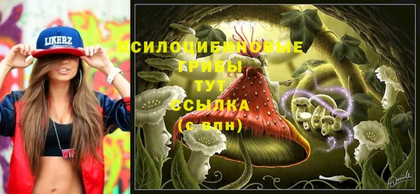 трава Каменка