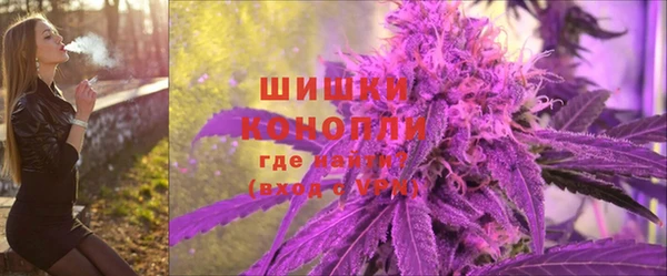 СК Каменногорск