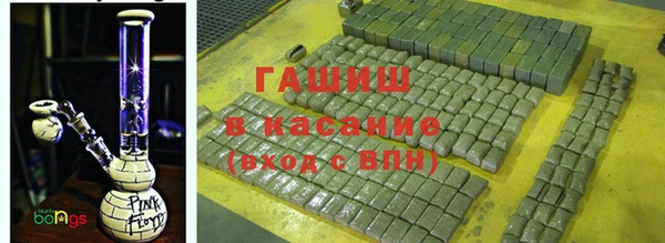 ПСИЛОЦИБИНОВЫЕ ГРИБЫ Инта