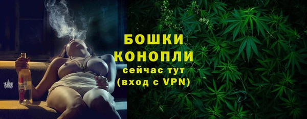 СК Каменногорск
