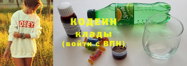СК Каменногорск
