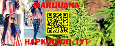 сатива Гай