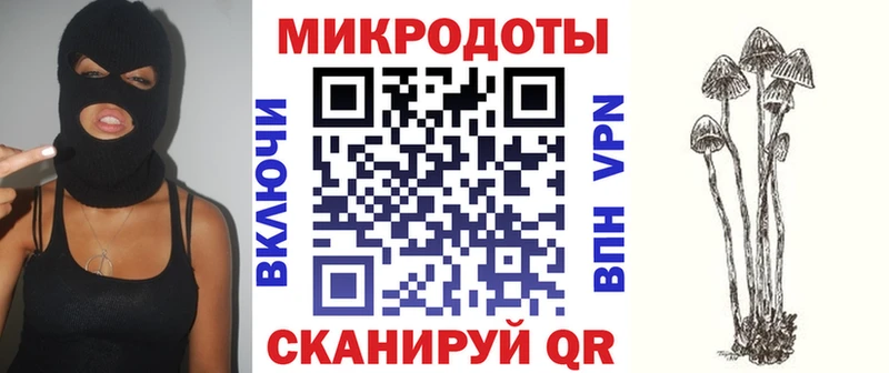 Галлюциногенные грибы Cubensis Соль-Илецк