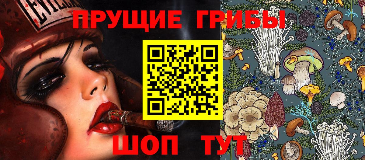 Соль-Илецк  Псилоцибиновые грибы мухоморы  Вход с VPN 