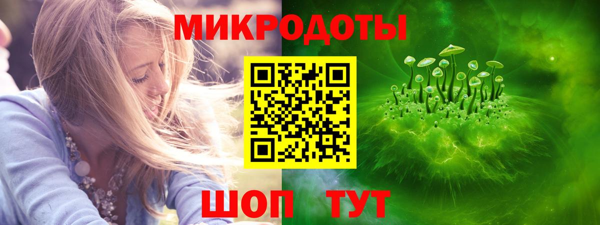 Галлюциногенные грибы Psilocybine cubensis Соль-Илецк